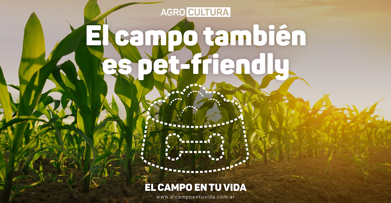 el campo en tu vida