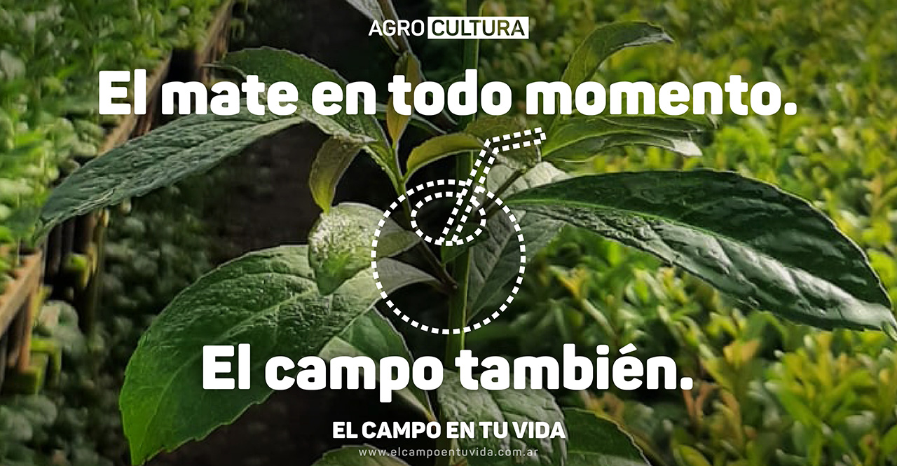 el campo en tu vida