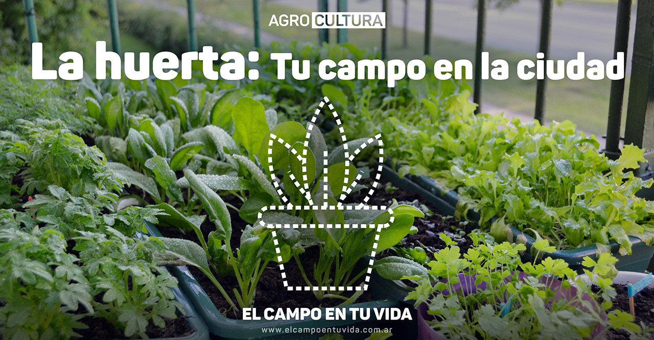 el campo en tu vida<br />
