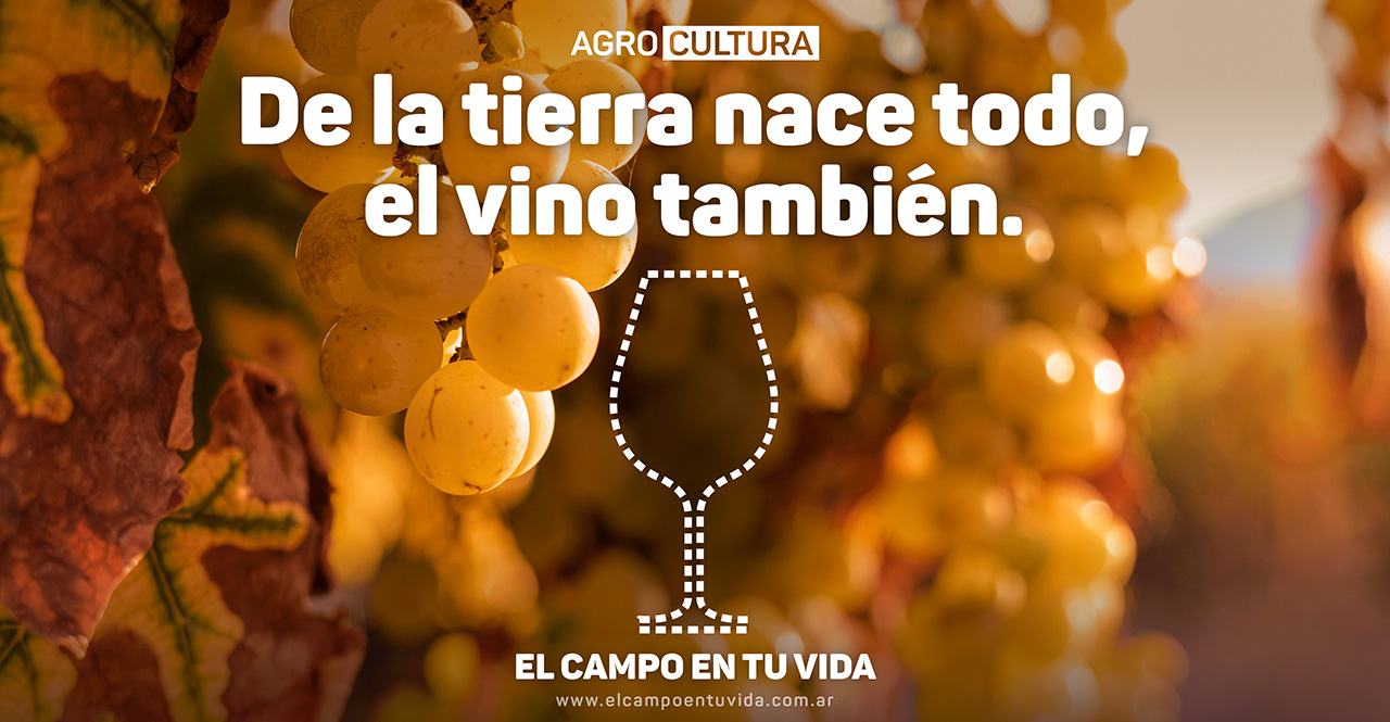 el campo en tu vida