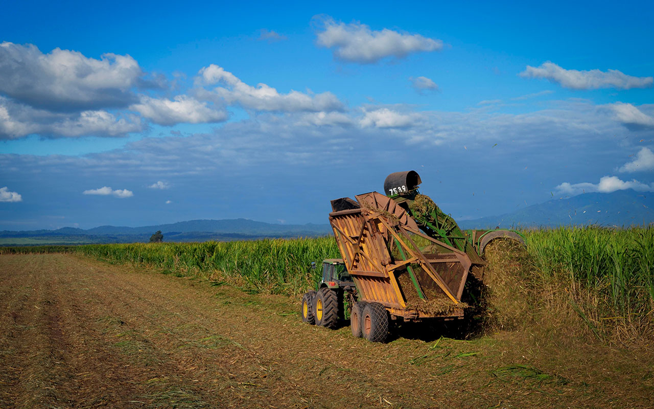 el campo en tu vida