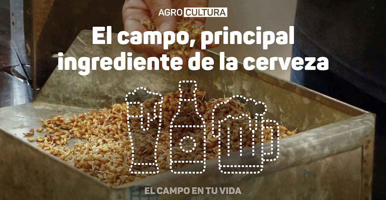 el campo en tu vida