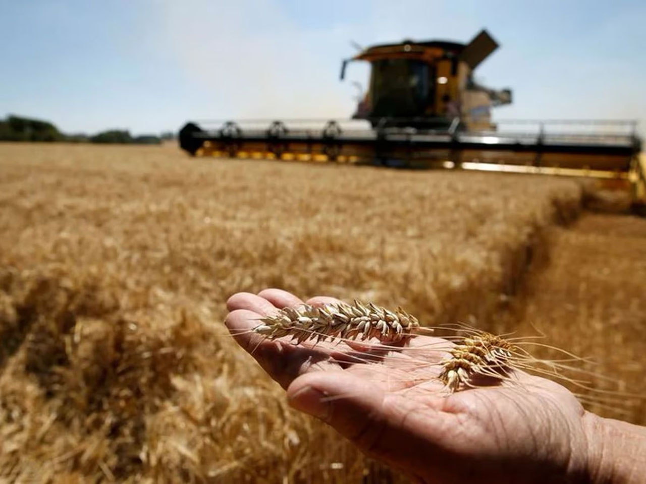 cuidar el campo desde el aire nota el campo en tu vida