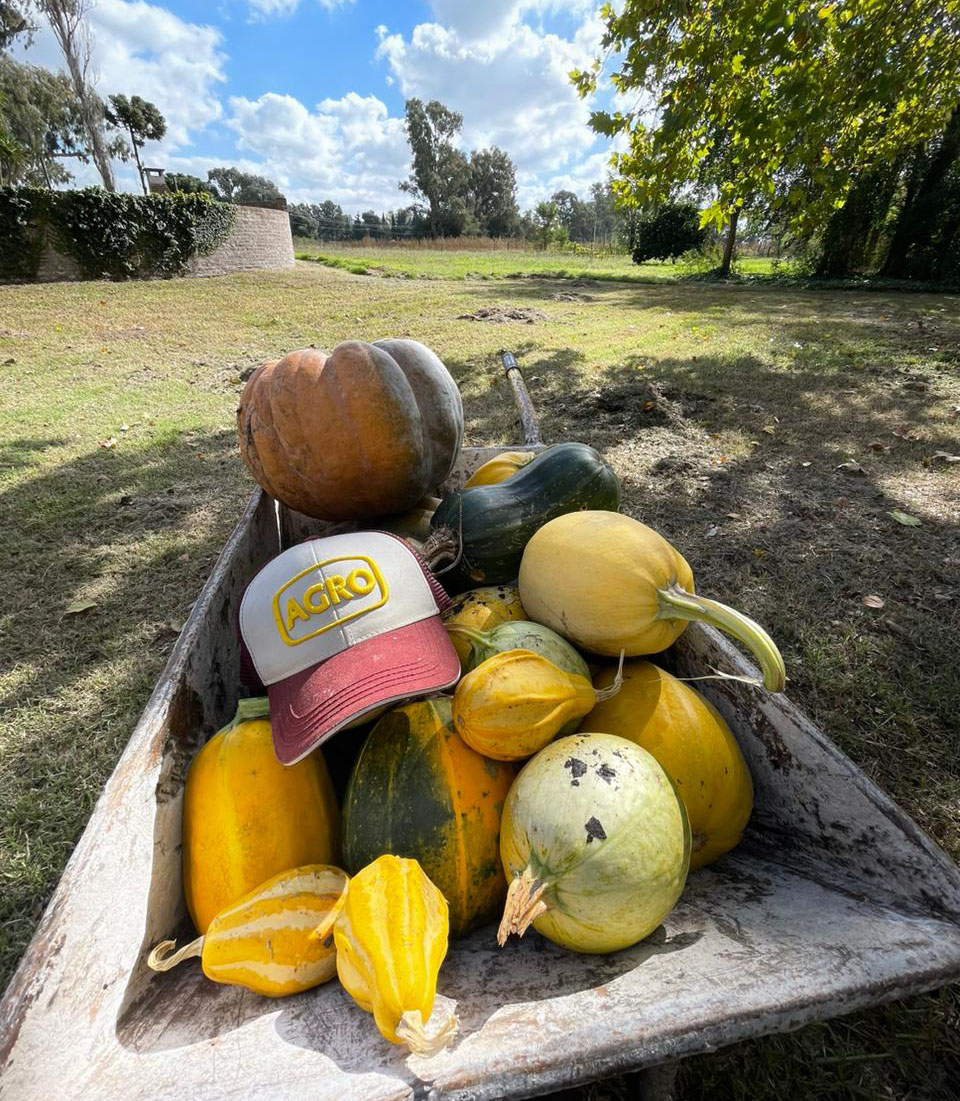 el campo en tu vida