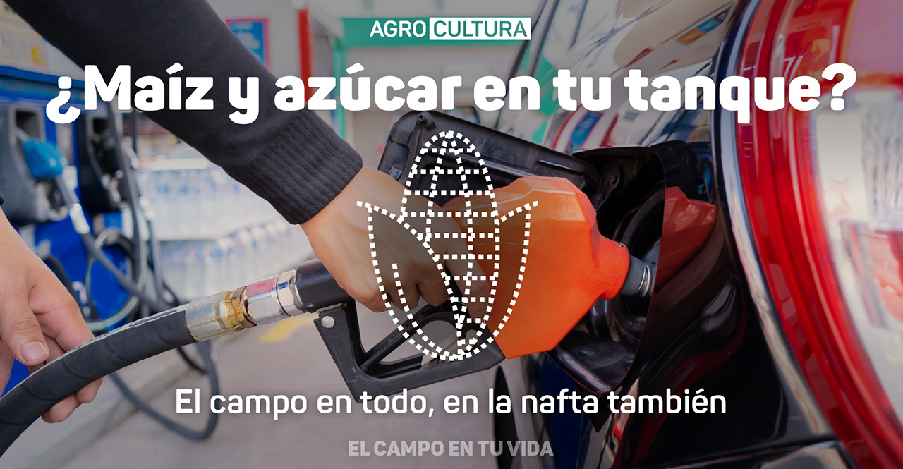 el campo en tu vida agrocultura