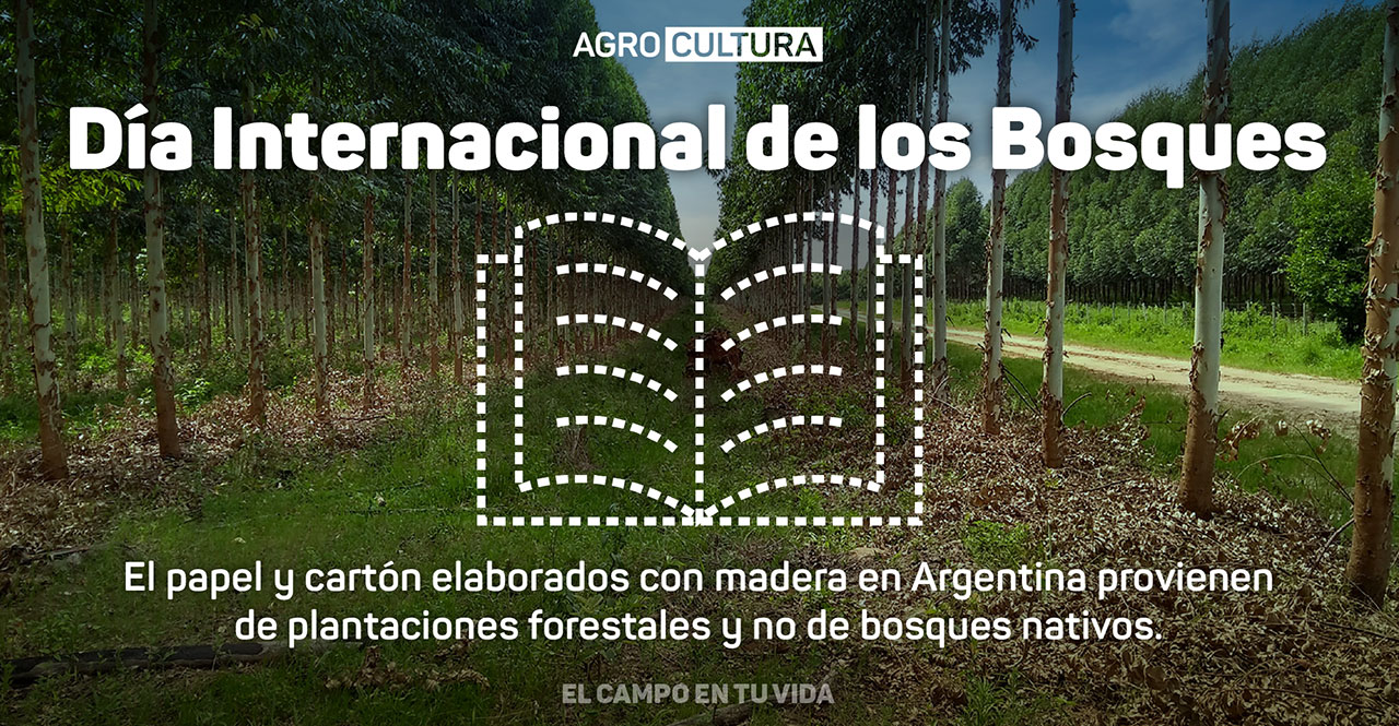 Agrocultura-Dia-Internacional-de-los-Bosques_nota-web