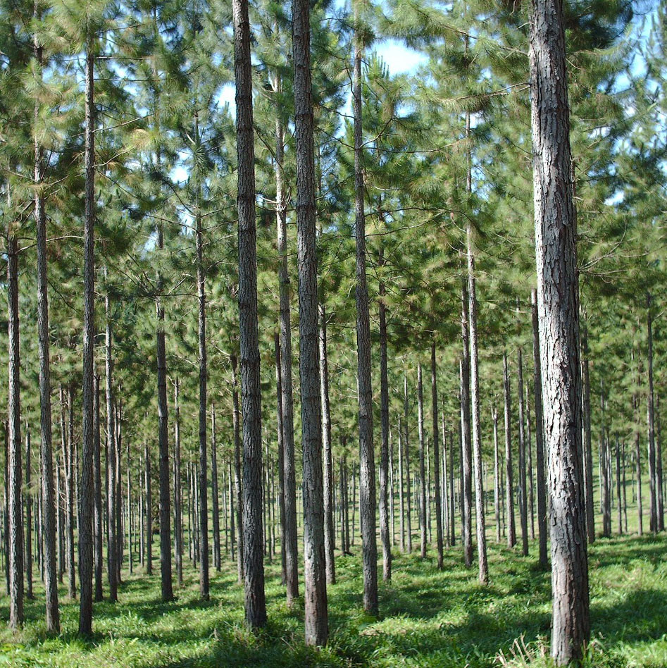 ECETV-Agrocultura-Cuanto-Campo-estas-leyendo