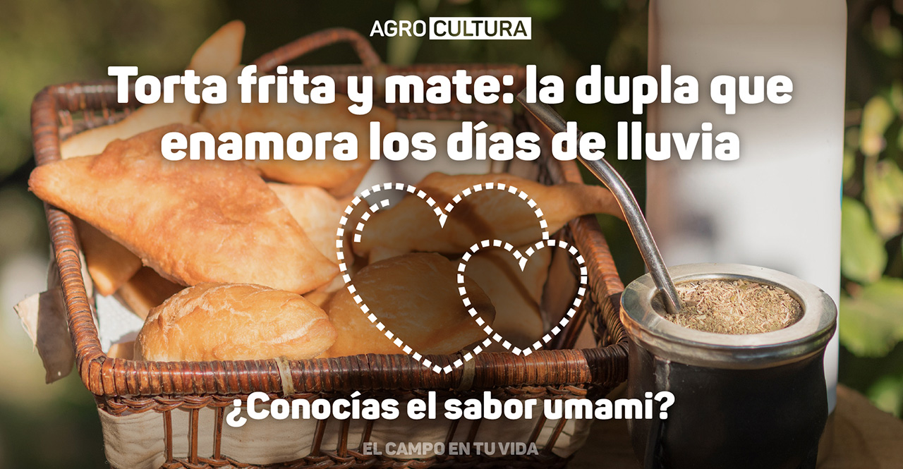 ECETV-Torta-frita-y-mate Torta Frita y mate el matrimonio perfecto agrocultura el campo en tu vida