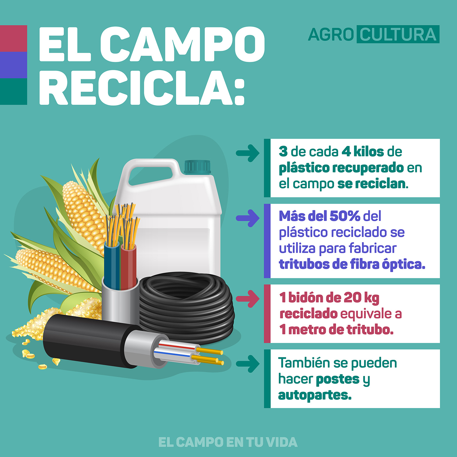 Infografia-Reciclaje-Datos sabias que el reciclaje en el agro impulsa una vida más sostenible agricultura el campo en tu vida dia mundial del reciclaje