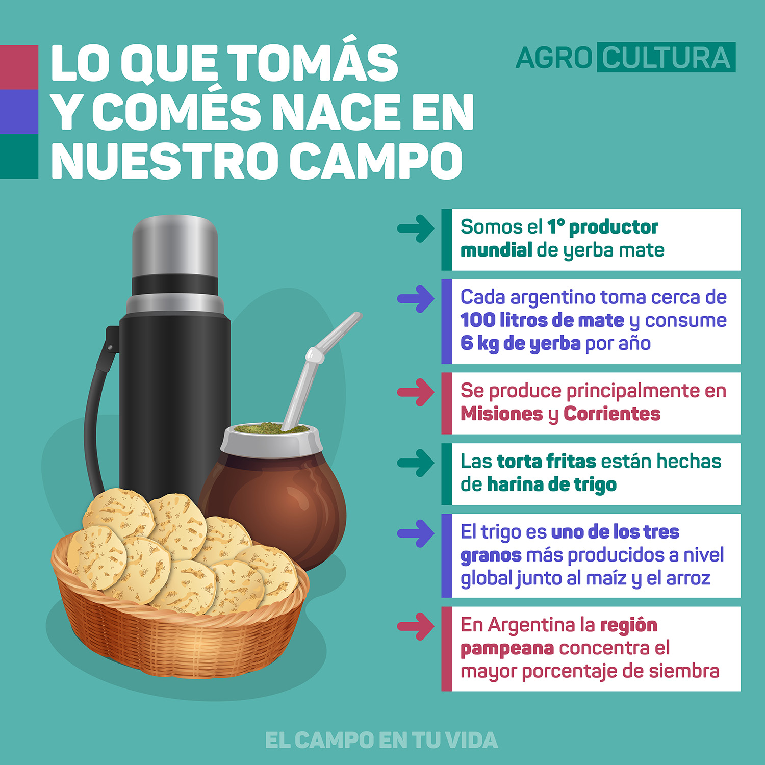 Infografia-Torta-frita-y-mate Torta Frita y mate el matrimonio perfecto agrocultura el campo en tu vida