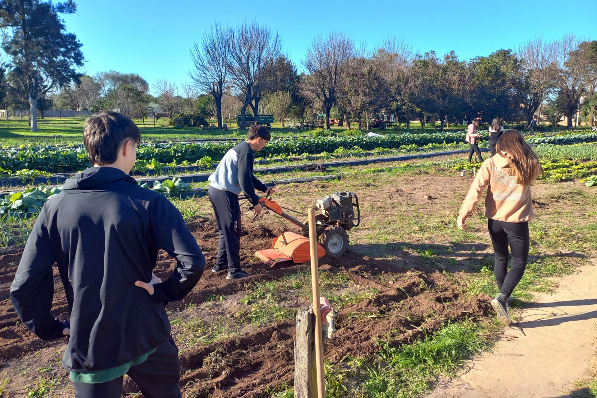 FOTO ESCUELA AGRO OK 6 de agosto dia clave para el agro argentino agrocultura el campo en tu vida