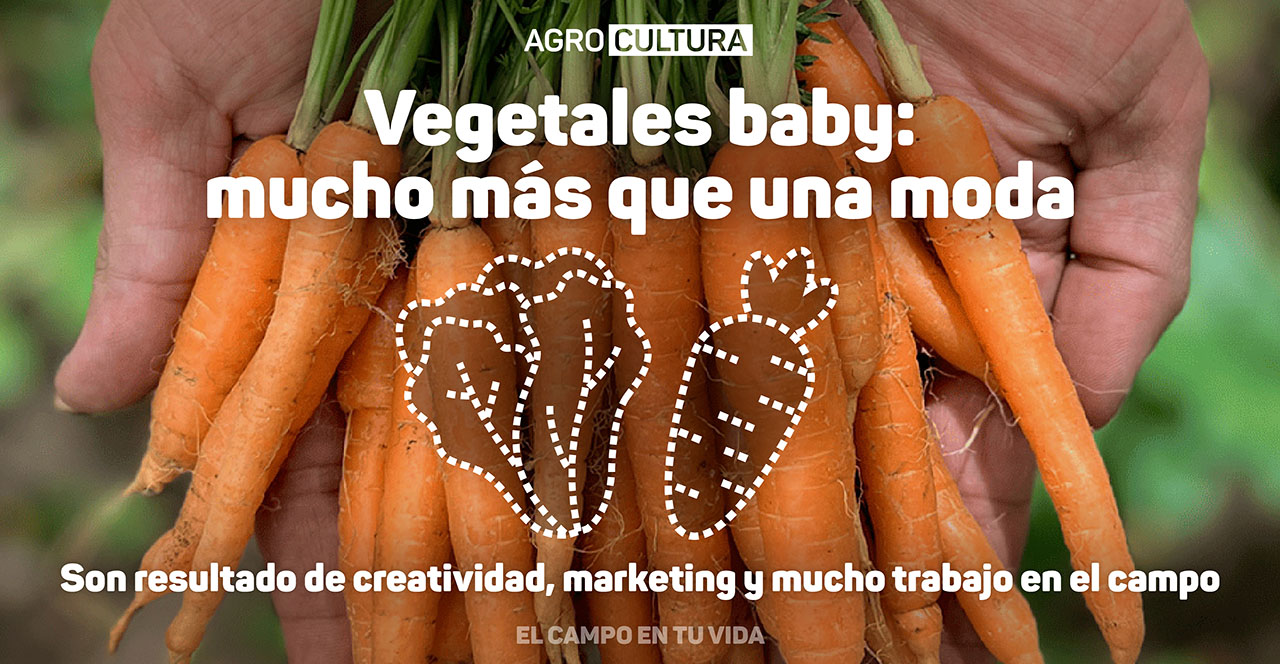 ECETV-Vegetales-Baby los bebes no nacen, se hacen Agrocultura El campo en tu vida