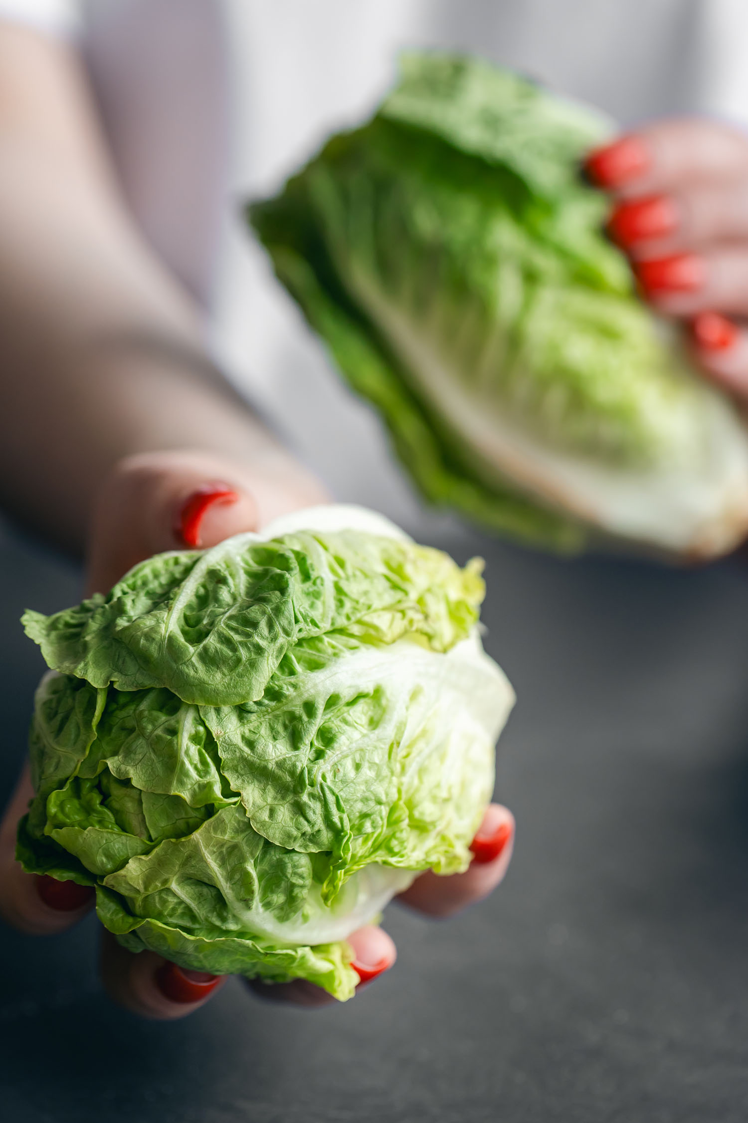 Close-up, fresh cabbage in the hand of a woman with red nails. los bebes no nacen, se hacen Agrocultura El campo en tu vida