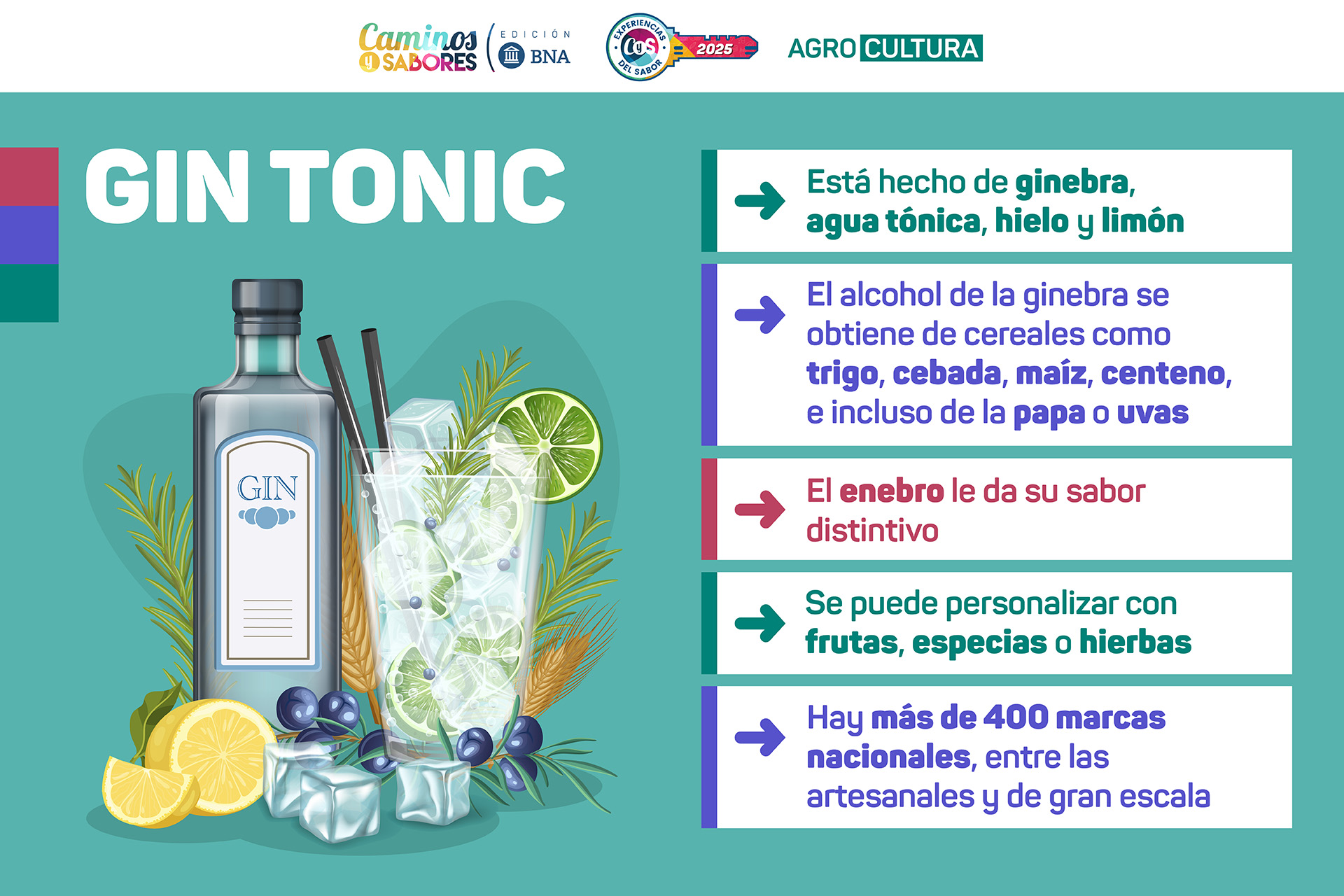 PLACA-Pantalla-GinTonic Aceite de Oliva Dell isola ganadores del concurso experiencias del sabor de caminos y sabores 2025