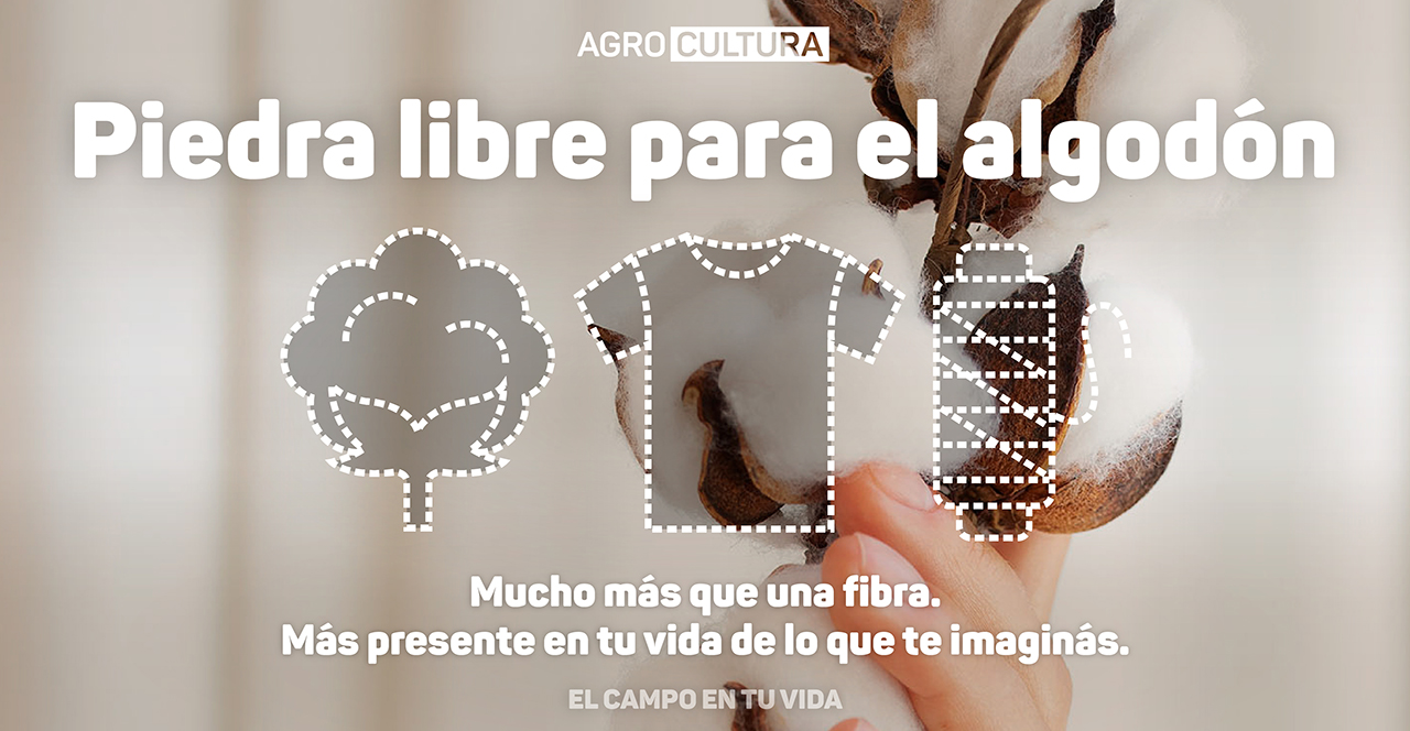 piedra libre para el algodón los bebes no nacen, se hacen Agrocultura El campo en tu vida