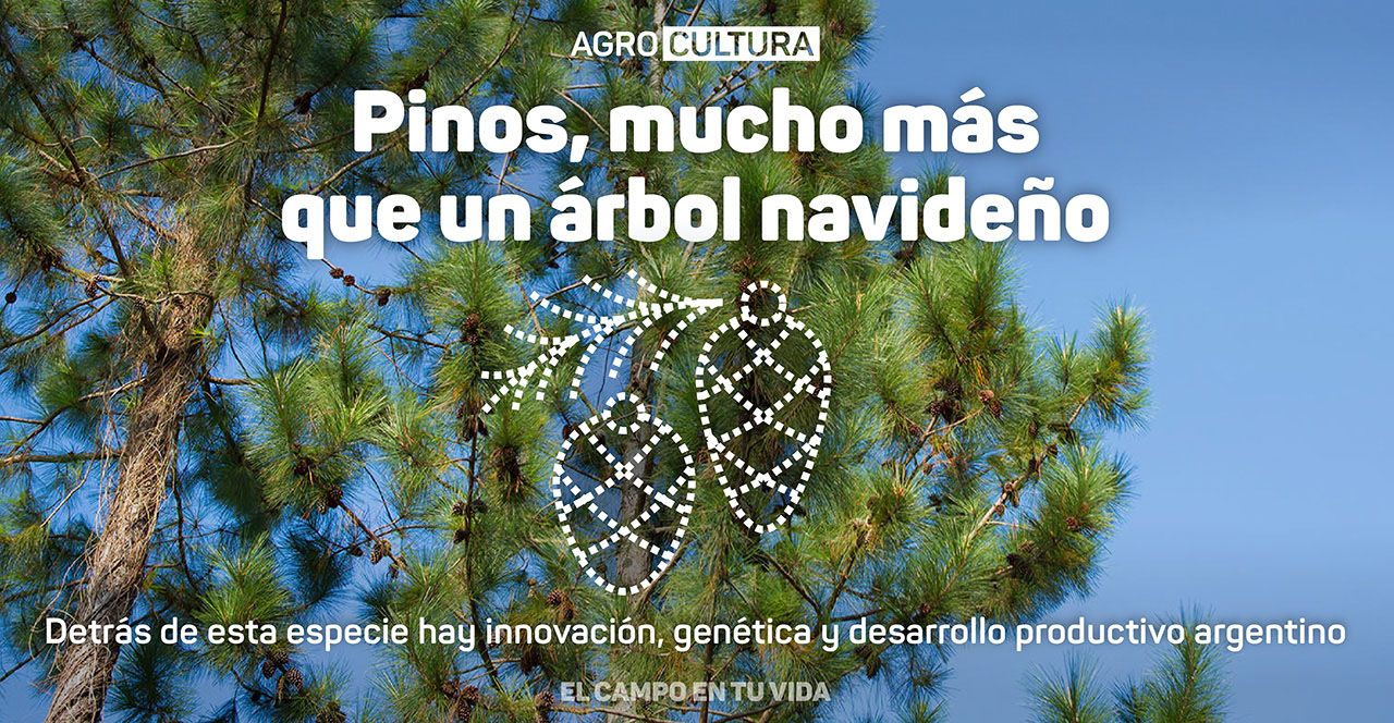 los bebes no nacen, se hacen Agrocultura El campo en tu vida